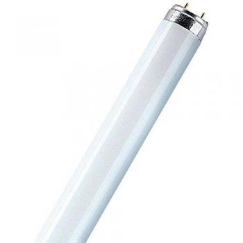 OSRAM Tubo neon T8 L18840 18W D. 2,6 x h. 59 cm