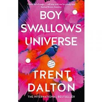 Boy Swallows Universe