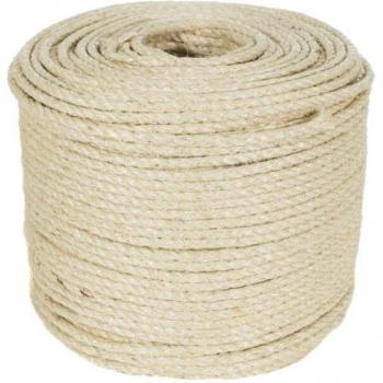 Cat Training Scratching Post