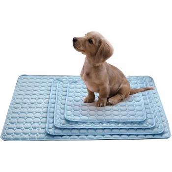 Moisture-Proof Pet Cooling Carpet