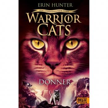 Warrior Cats: Ein sternenloser Clan