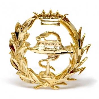 Inmaculada Romero Pin con Escudo Oro 18K, Farmacia, 15 mm, Profesional