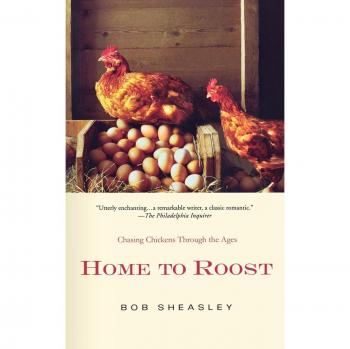 Home to Roost: Chasing Chickens Through the Ages