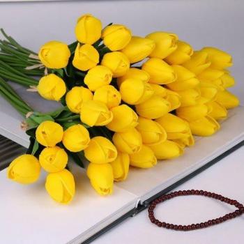 Tulipanes de Látigo Real para Casa