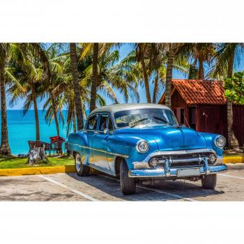 Havannia Classic Car Beach Palm Print Tapete (Papermoon)