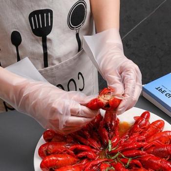 Oil‑Proof Transparent TPE Gloves – Modern Kitchen Service (S)