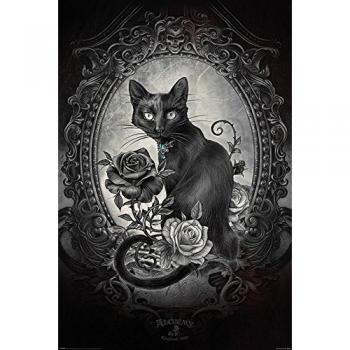 Póster Alquimia Paracelcus 91,5 x 61 cm