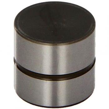 INA Punterie RENAULT,FIAT,PEUGEOT 420 0106 10