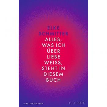 Alles über Liebe: Einbildungsroman