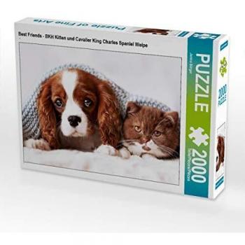 CALVENDO Kätzchen & Spaniel – 2000-Piece Fotopuzzle 90 x 67 cm