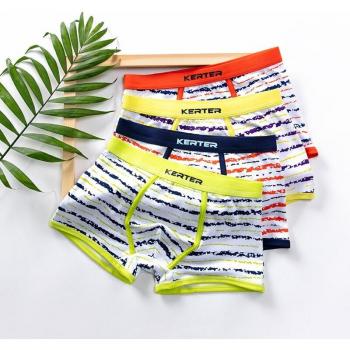 Conjunto de Ropa Interior de Algodón Orgánico para Niños (4 Pantalones Cortos) 2-16 años