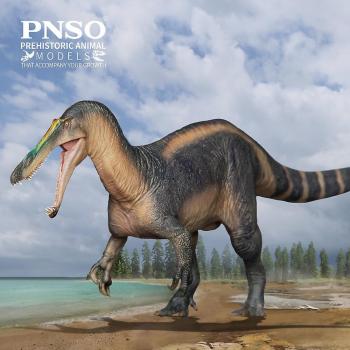 El Suchomimus Thabo – Dinosaurio Pnso 67