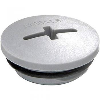 Wiska O-Ring Schraube M40 Silber-Grau