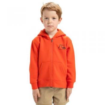 Vestimenta Niños Quiksilver Día Viaje