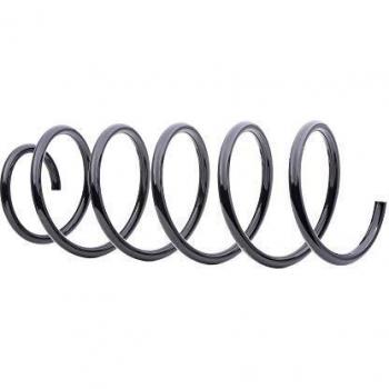 Molla sospensione RIDEX VOLVO 8634377
