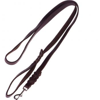 Guinzaglio per cani marrone 2 m