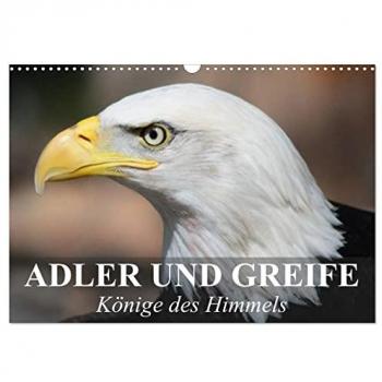 Adler und Greife