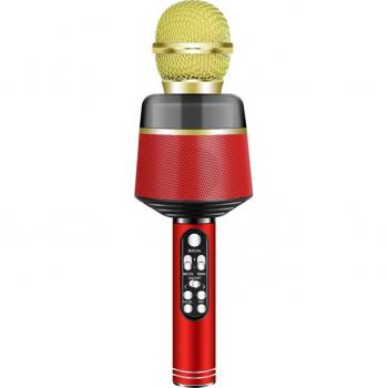 Microphone de chant sans fil Bluetooth avec haut-parleur et enregistreur