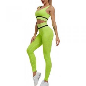 Conjunto SudorGuard