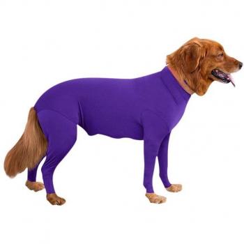 Traje protector para perros después de la operación