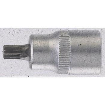 3/8 Drive M10 Multi-Tooth Bit Socket