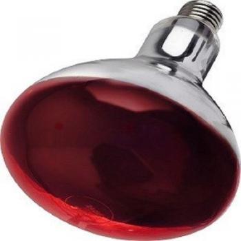 250watt Infra Red Bulb for Heat Lamps by Titan, 1 piece