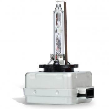 D1S Xenon 35W PK32d-2 lampadina