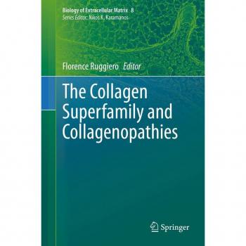 The Collagen Superfamily and Collagenopathies