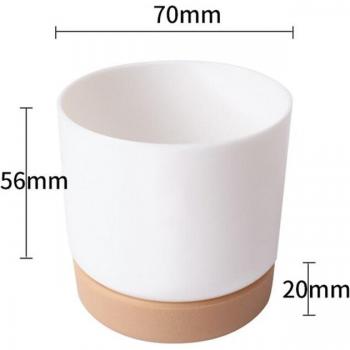 Aquaculture Self-Watering Flowerpot