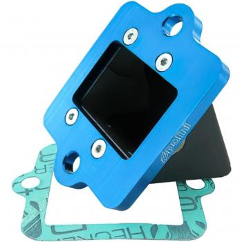Piaggio Membranblock Polini Big Evolution