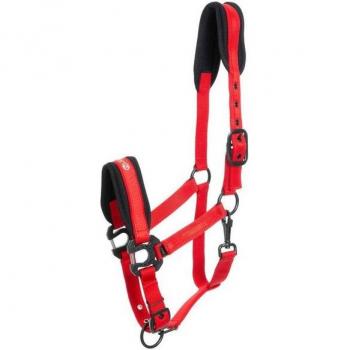 Kieffer Cavallo Capezza in Nylon Suprema 1 St
