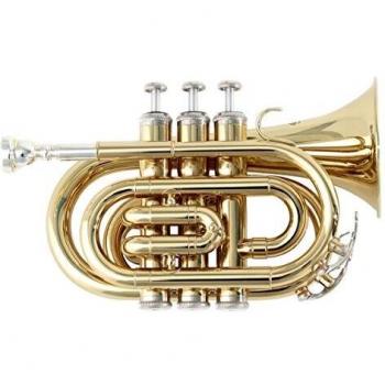 Soundsation Pocket Gold Tromba 10P