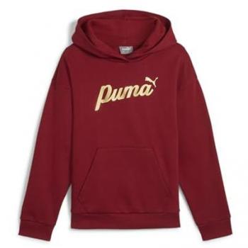 Puma Essentials+ Script Kids Hoodie Rot – Größe G
