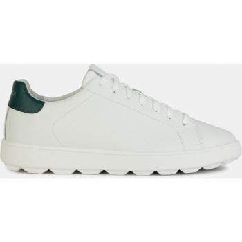 GEOX Schuhe Spherica Ecub-1 Herr Weiß/dunkelgrün male 43