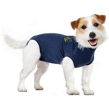 MPS Medical Pet Shirt „Kleiner Hund“ – Blau – 0,5 L