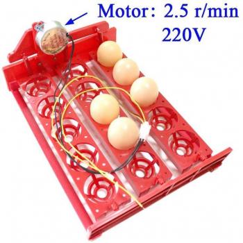 15-Egg Poultry Incubation Tray