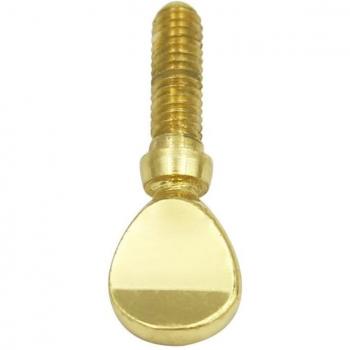 Saxophone Neck Screw