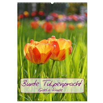 Bunte Tulpenpracht (Wandkalender 2025 DIN A2 hoch) CALVENDO Monatskalender
