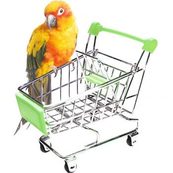 Trolley Amusant Animaux