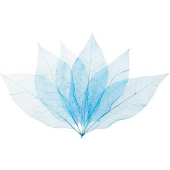 Feuilles de squelette pour mariage | 50 pièces
