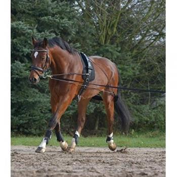 Waldhausen Cob Full Lunging System – Noir Edition