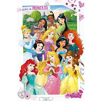 Rêve de Rêves – Poster Disney 61x91,5 cm