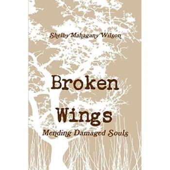 Broken Wings Mending Damaged Souls