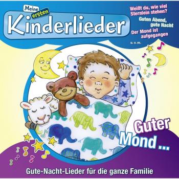 BUSCH 8376966 CD Guter Mond...