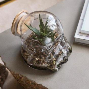 Star Wars Original Stormtrooper Terrarium