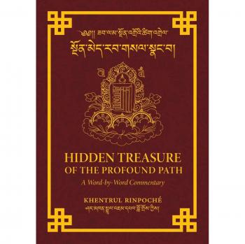 Hidden Treasure of the Profound Path