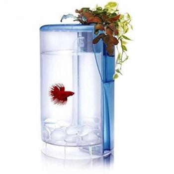 Ocean Free Betta Flora Siamese Fighter Tank