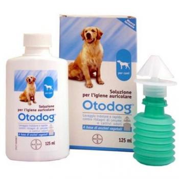 Otodog