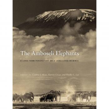 The Amboseli Elephants: A Long-Term Perspective on a Long-Lived Mammal