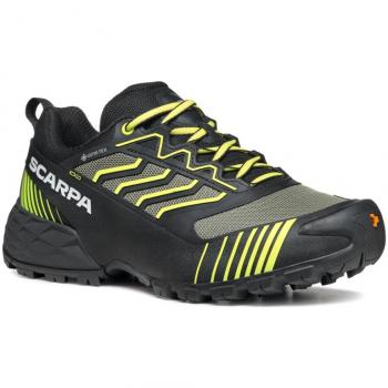 Ribelle Run X‑T GTX pour femmes
